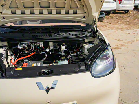 2025�� 333km ��Ϭ������