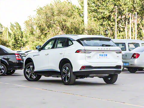 2024�� 135������