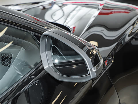 2024�� RS 5 2.9T Sportback ȼ���