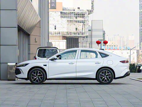 2025�� DM-i �Ǽݰ� 120KM������