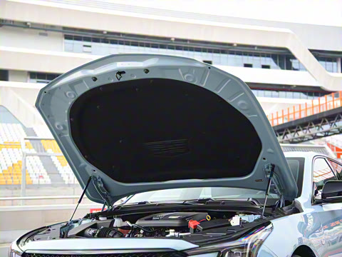 2025�� 28T �������ܰ�