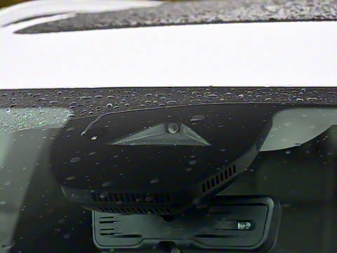 2025�� ������Plus ����Avenir��ά��