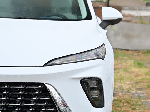 2025�� ������Plus ����Avenir��ά��