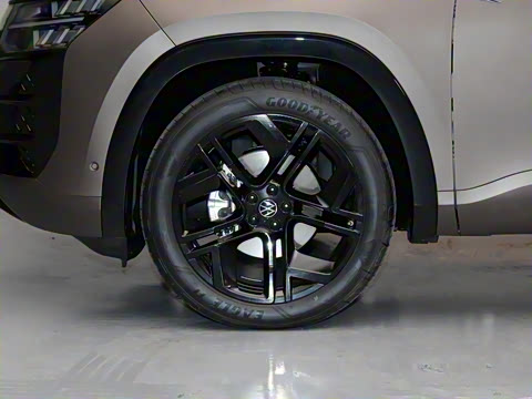 2025�� ;�� Pro 450TSI �����Ƿ��