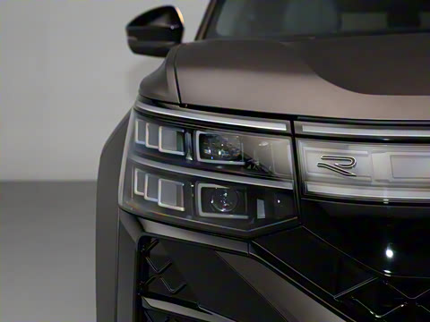 2025�� ;�� Pro 450TSI �����Ƿ��