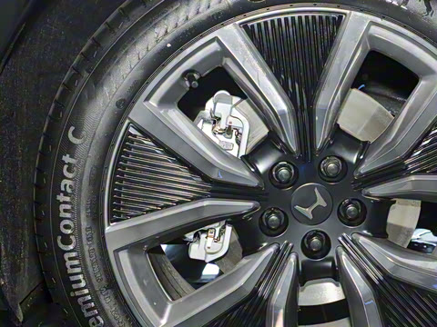 2025�� ����������Pro