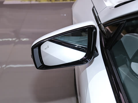 2025�� 300Max  �����Ǽ�AD PRO���̰�