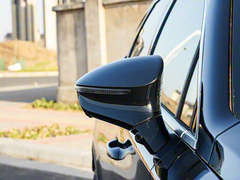 2025�� �Ǽݰ� DM-i 115KM �콢��