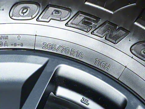 2024�� OVERTRAIL Զ���