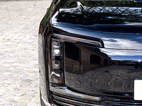 2025�� ���� �ǻ������� 5��