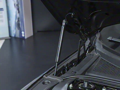 2025�� �������̰� 230�콢��