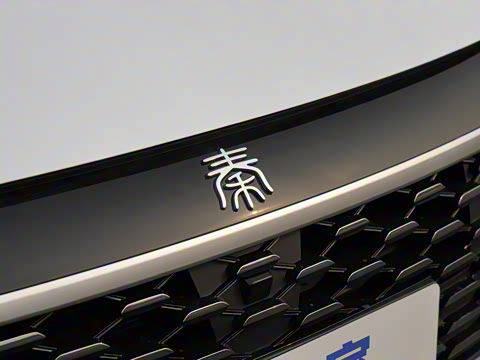 2025�� DM-i �Ǽݰ� 55KM������