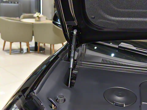 2025�� 825 Max��