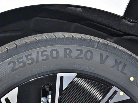 2024�� Max�����