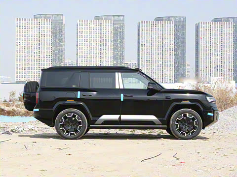 2025�� ���º����� 6��