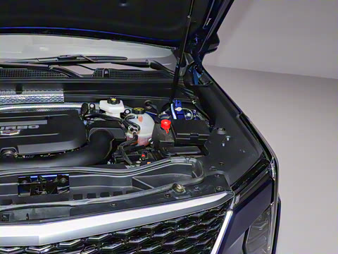 2024�� �Ŀ� 28T ���������