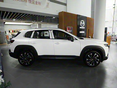 2023�� 2.5L ���а�