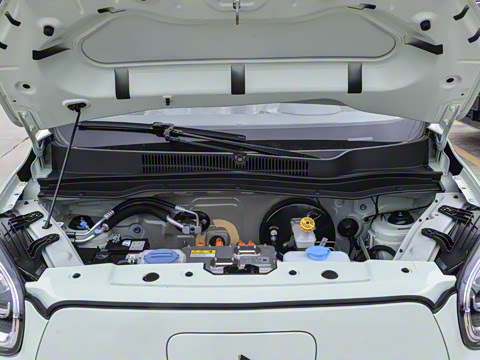 2025�� 310������