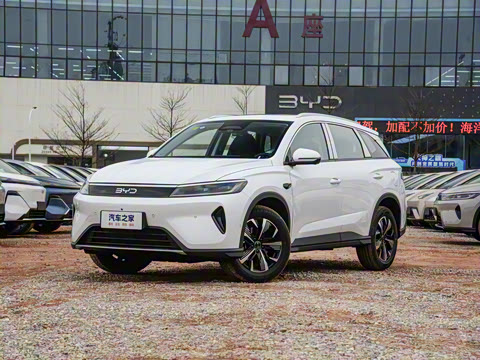 2025�� DM-i �Ǽݰ� 75KM�����