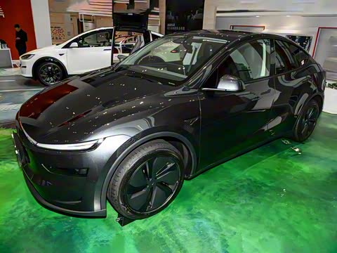 2025�� ����������