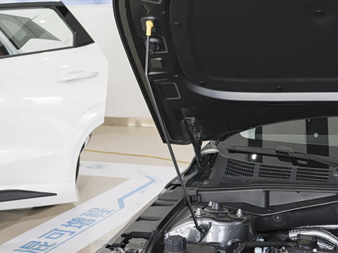 2025�� �ǻ������� 145KM ���ܰ�