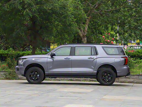 2025�� 2.0T�Զ�������Ӣ�� ����