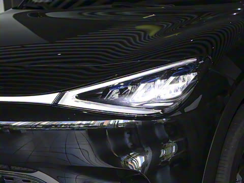 2026�� �鶯������