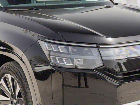 2025�� ;�� Pro 450TSI ����̽����