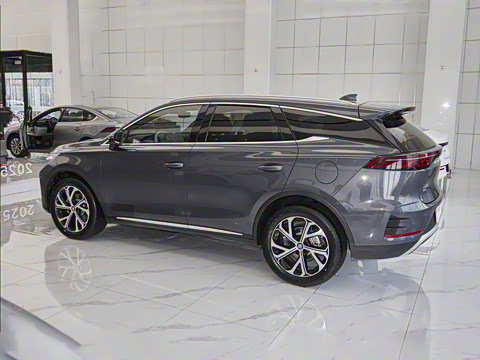 2025�� DM-i 115KM �콢��