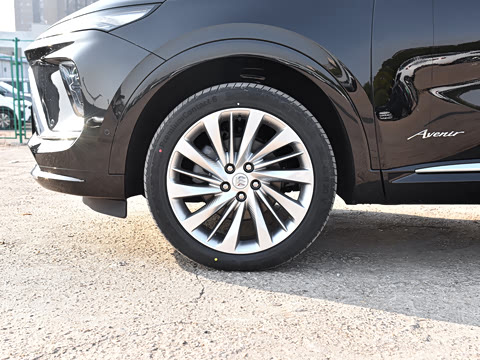 2025�� ������Plus ����Avenir��ά��