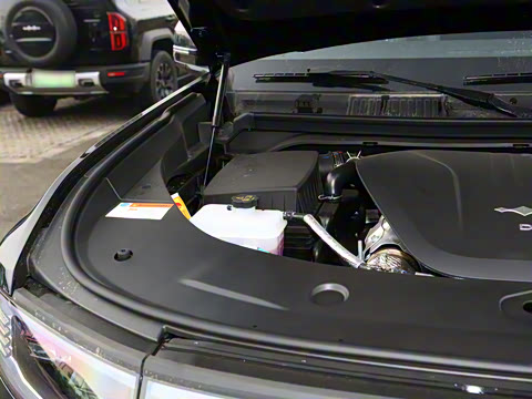 2025�� ���º����� 7��