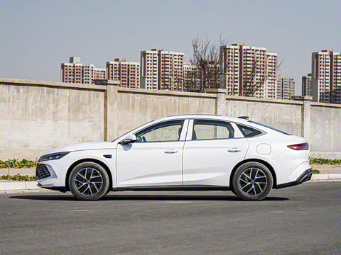 2025�� DM-i �Ǽݰ� 120KM��Խ��