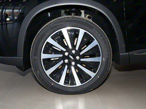 2025�� 1.5T 130km ���� 5��