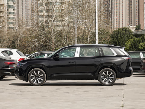 2025�� ;�� Pro 450TSI ����̽����