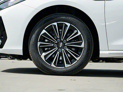 2025�� 145km ������