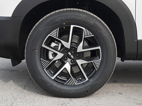 2024�� 1.5T ħ�˵�����׼��