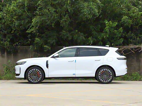 2025�� FREE+ ����Ǭ����