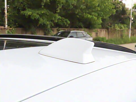 2025�� FREE+ ����Ǭ����