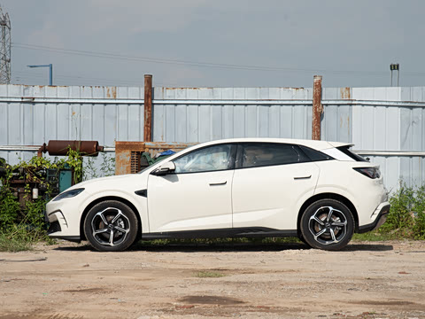 2025�� �Ǽݰ� 605���˰�