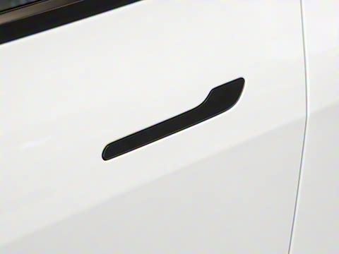 2025�� ����������