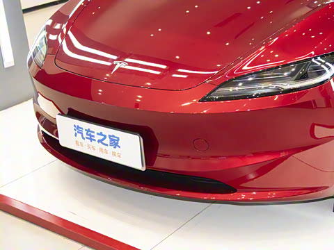 2025�� ����������