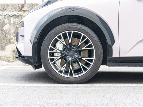 2025�� ��������ħ����