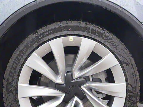 2025�� ����������