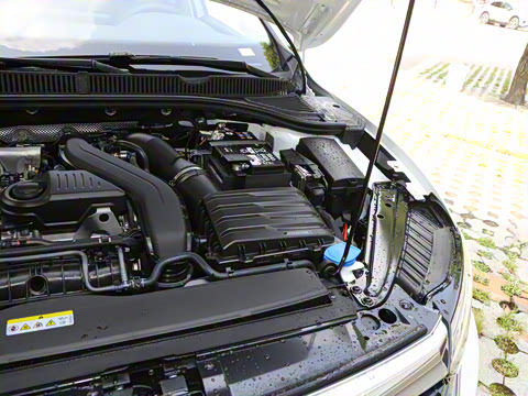 2025�� �Ŀ�� 300TSI DSG��Խ��