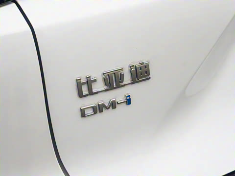 2025�� DM-i �Ǽݰ� 115KM������