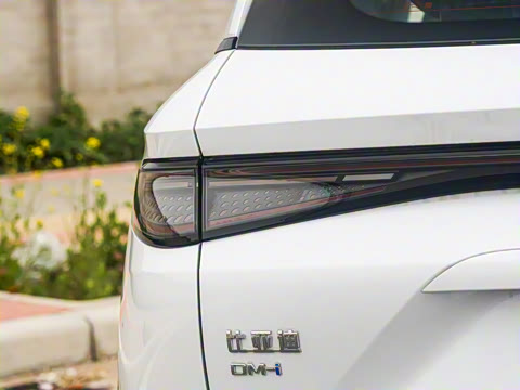 2025�� DM-i �Ǽݰ� 115KM������