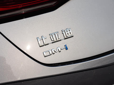 2025�� DM-i �Ǽݰ� 55KM������