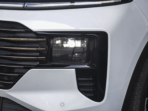 2025�� ������ 5��