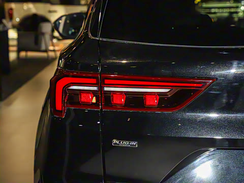 2025�� ������