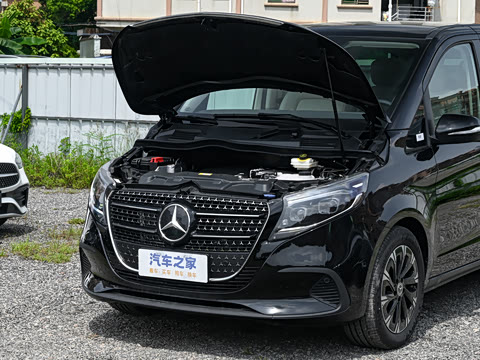 2025�� V 300 �캽��